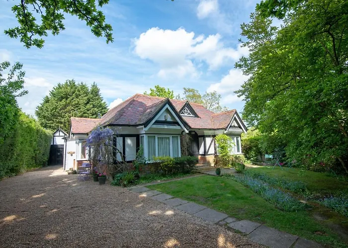 Pinewood Cottage Self Catering Apartments And Studio Apartments